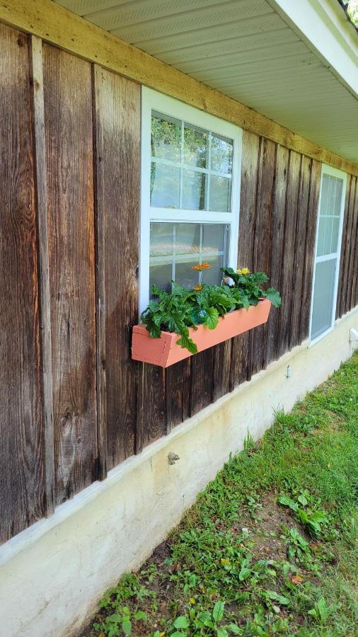 The Little House At Evoo Vila Cookeville Exterior foto